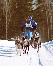 Rex Jones 8-dog finishing